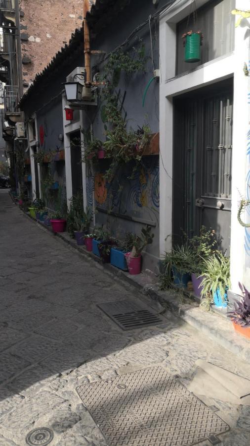 San Berillo House Apartment คาตาเนีย ภายนอก รูปภาพ