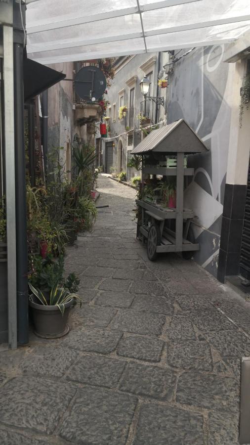 San Berillo House Apartment คาตาเนีย ภายนอก รูปภาพ